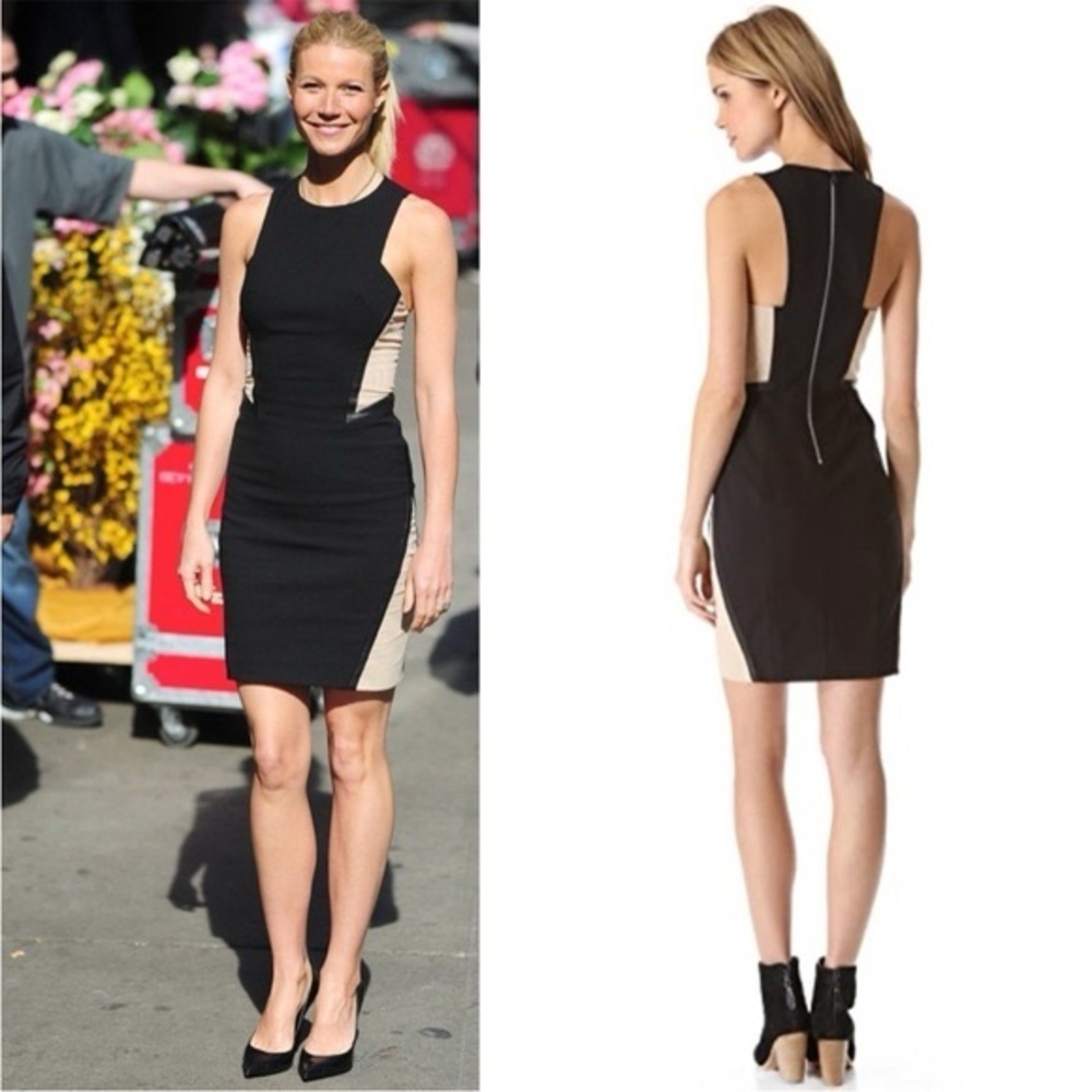 rag & bone Black and Tan Mini Dress